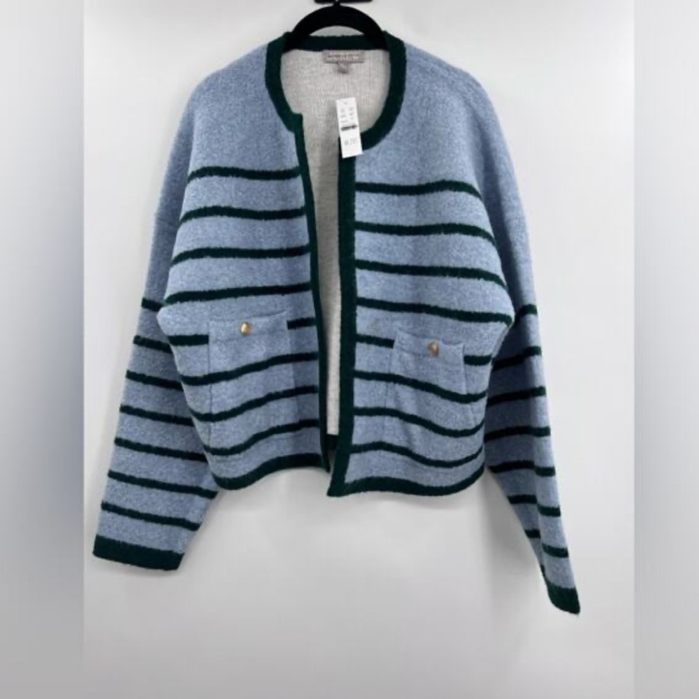 J. Crew Light Blue and Dark Green Striped Knit Cardigan